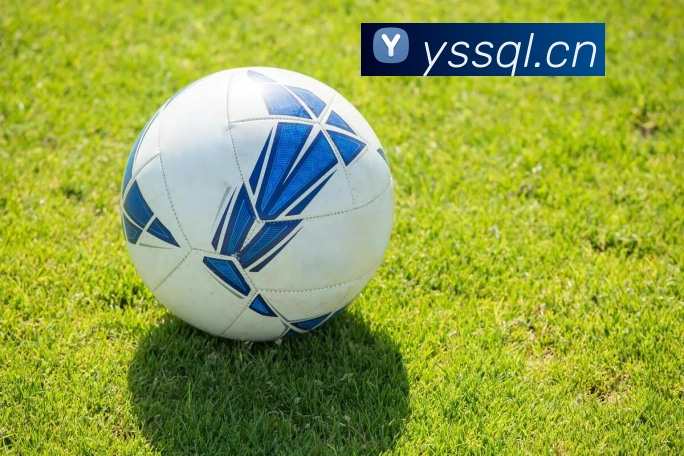 博亚体育APP 高清赛事图